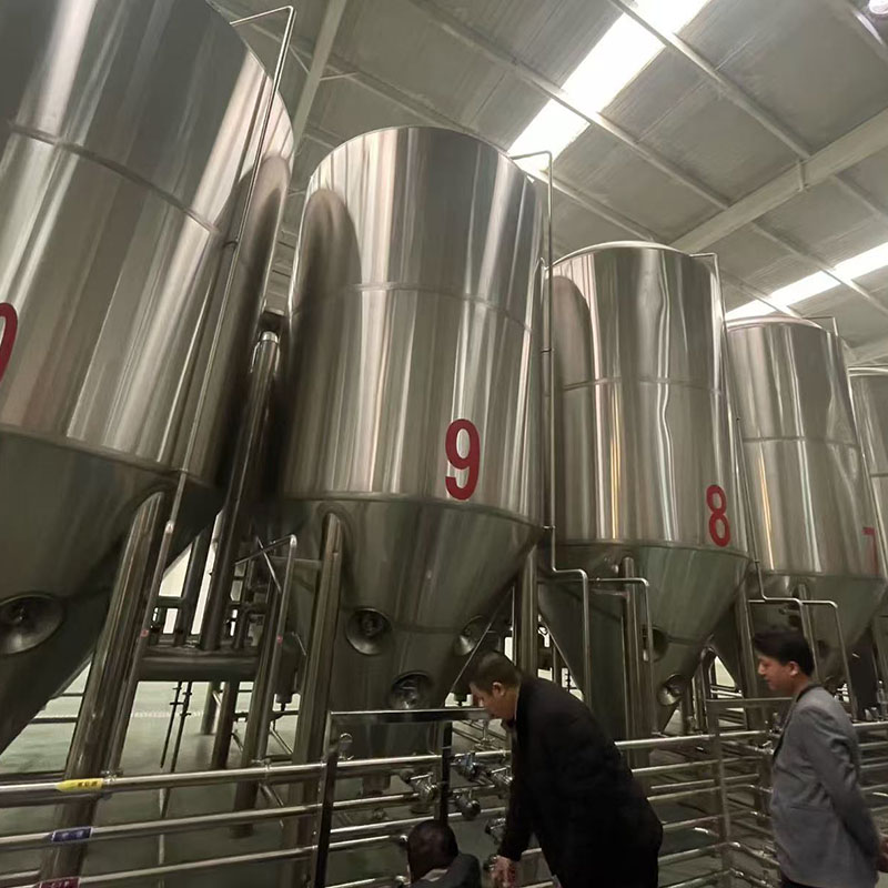 岭口镇精酿啤酒设备